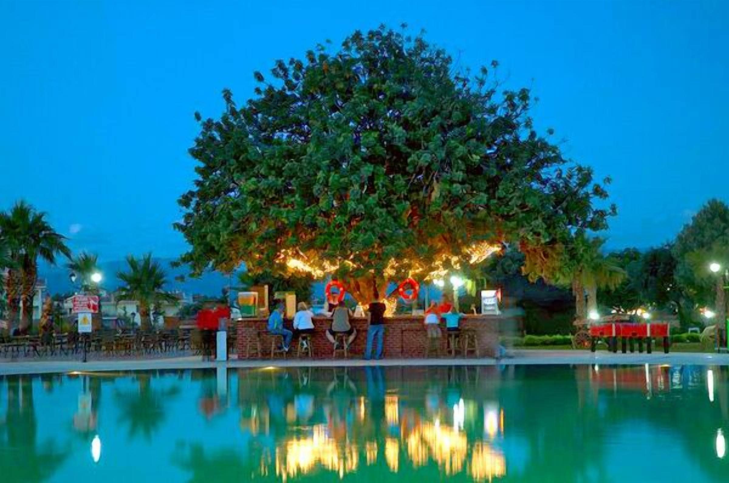 Outdoor pool