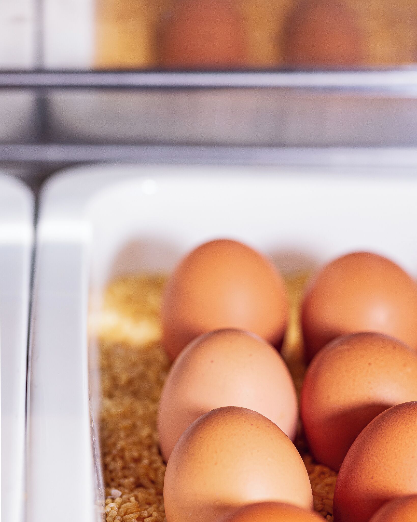 Eggs in a carton with a white interior.
