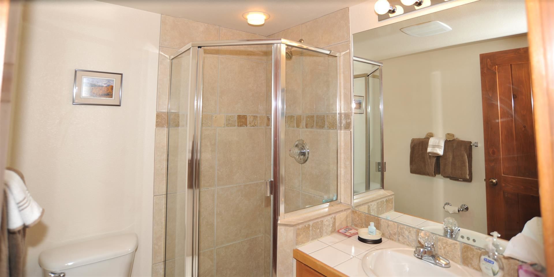 A bathroom with a glass shower enclosure, a toilet, a sink with a mirror, and a towel rack.