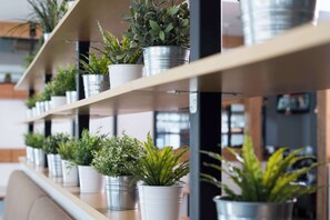 บาร์ (ในที่พัก)