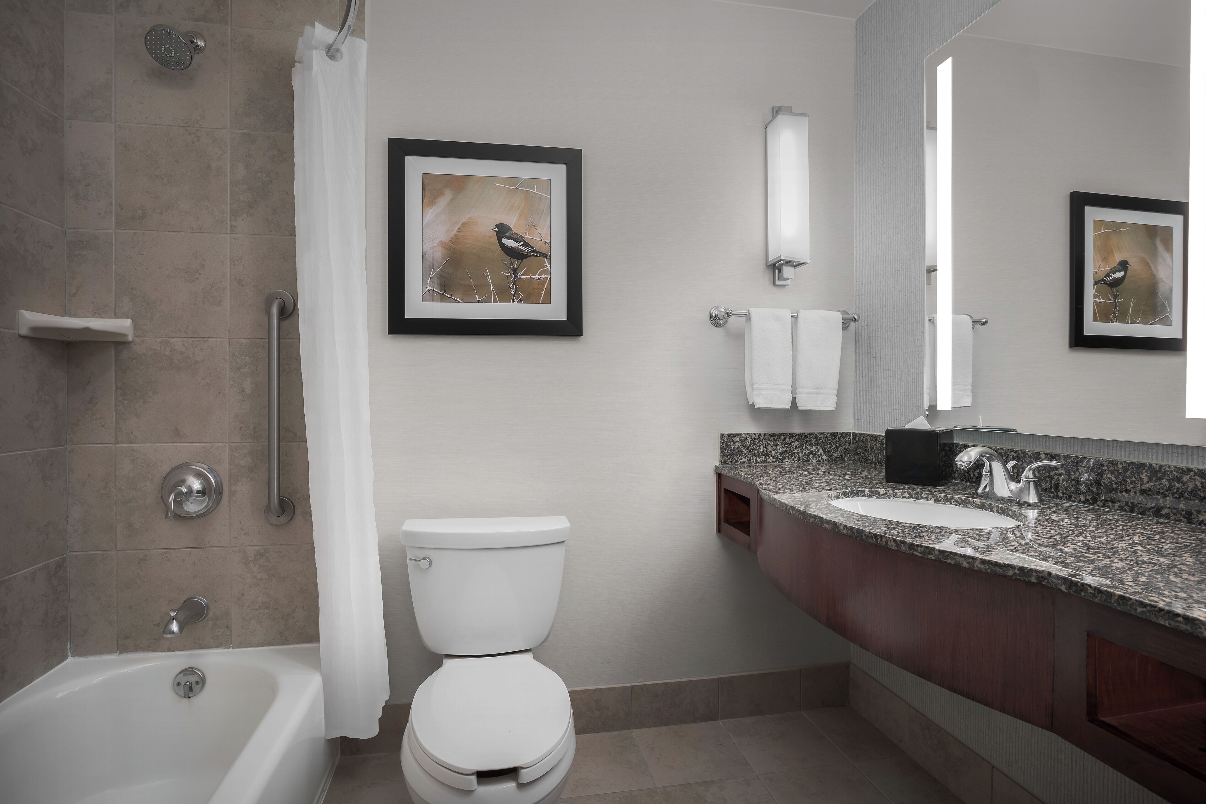 Photo - Hilton Garden Inn Denver Downtown