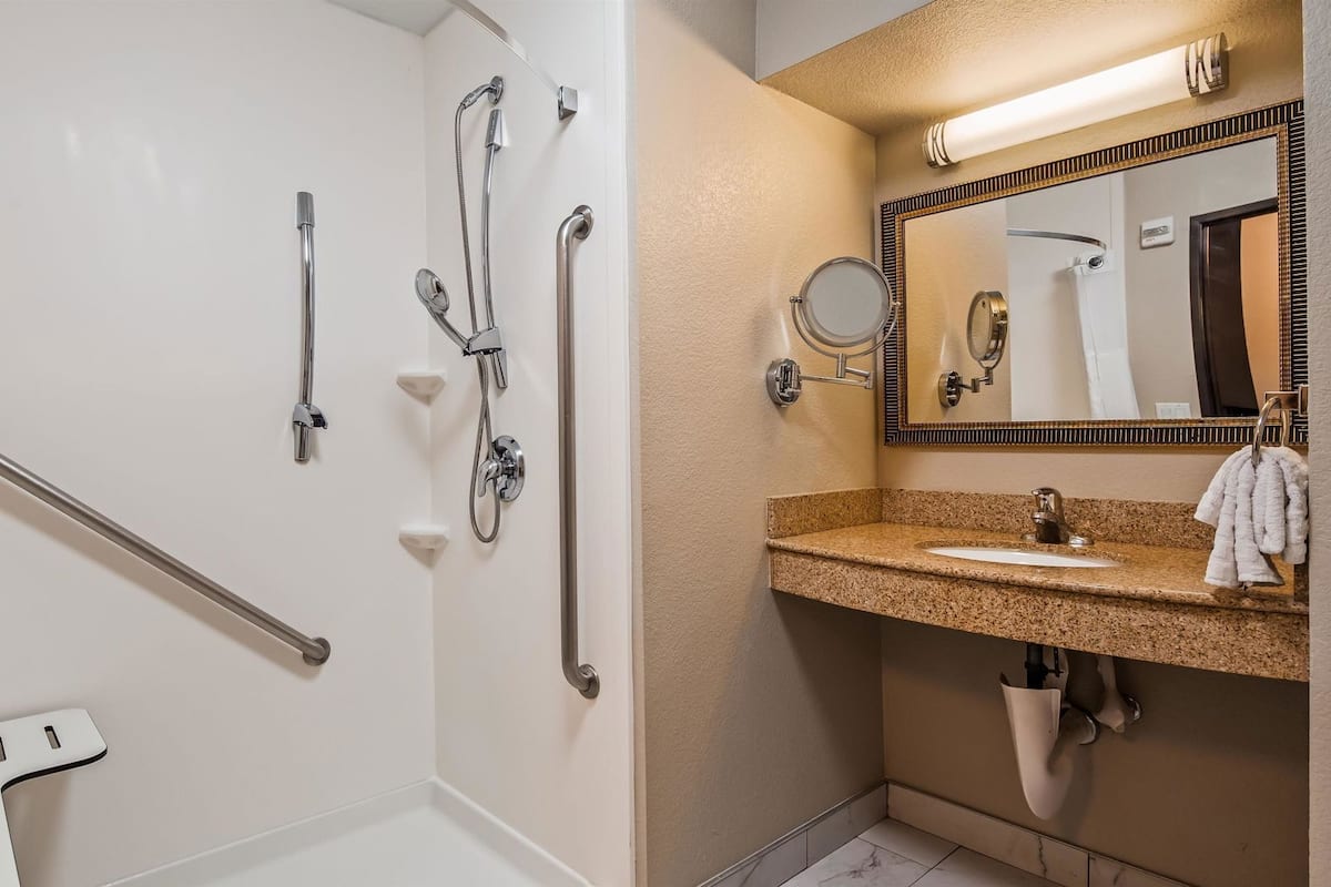 A bathroom with a shower, grab bars, a sink, a mirror, and a towel rack.
