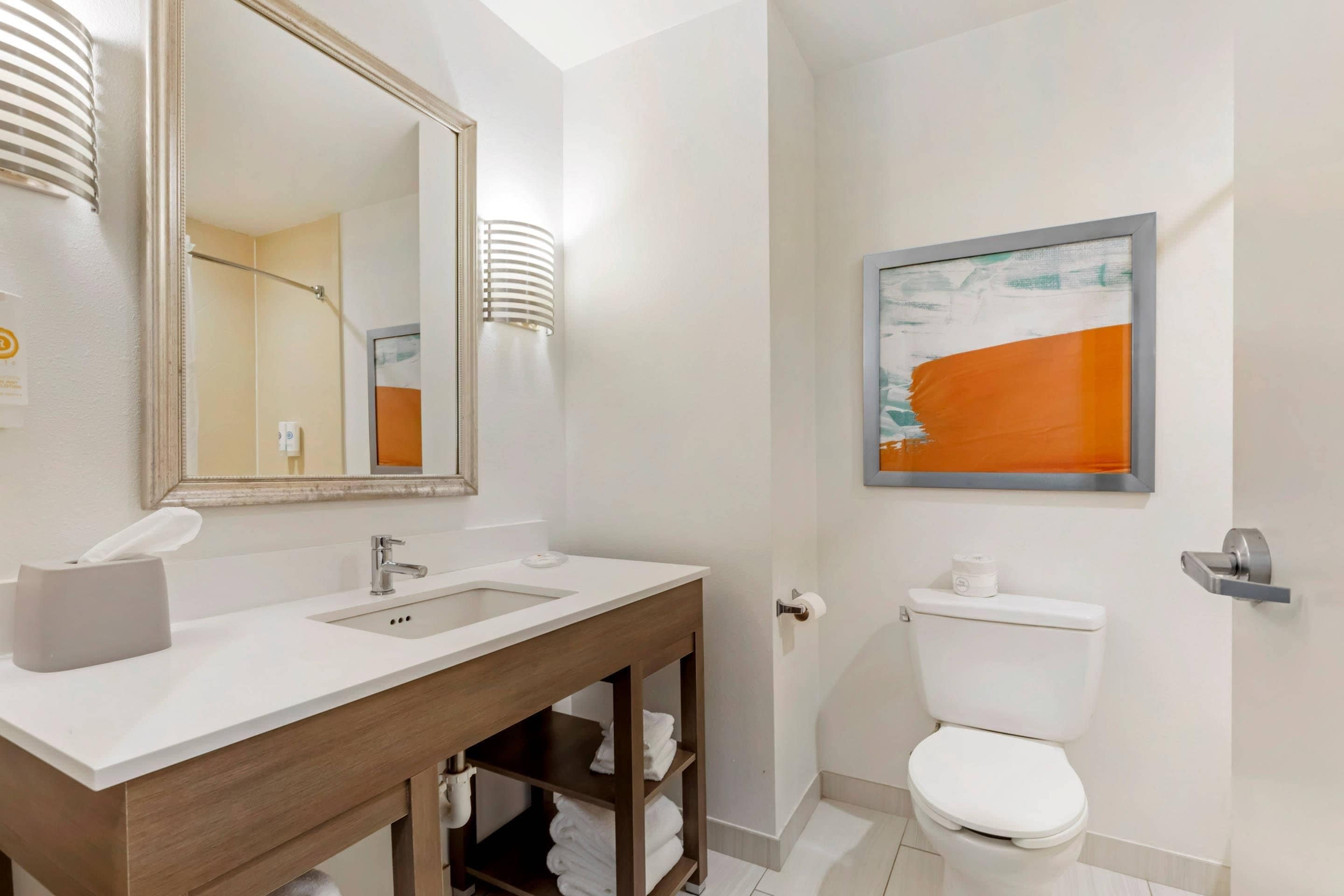 A bathroom with a double sink, a toilet, a towel rack, and a framed artwork on the wall.