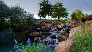 Paisaje natural con cascada, rocas y plantas en flor.
