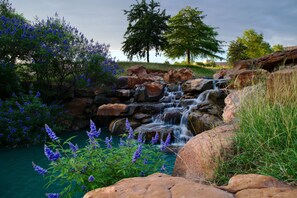 Un paysage naturel comprenant une cascade, des rochers et des plantes en fleurs.