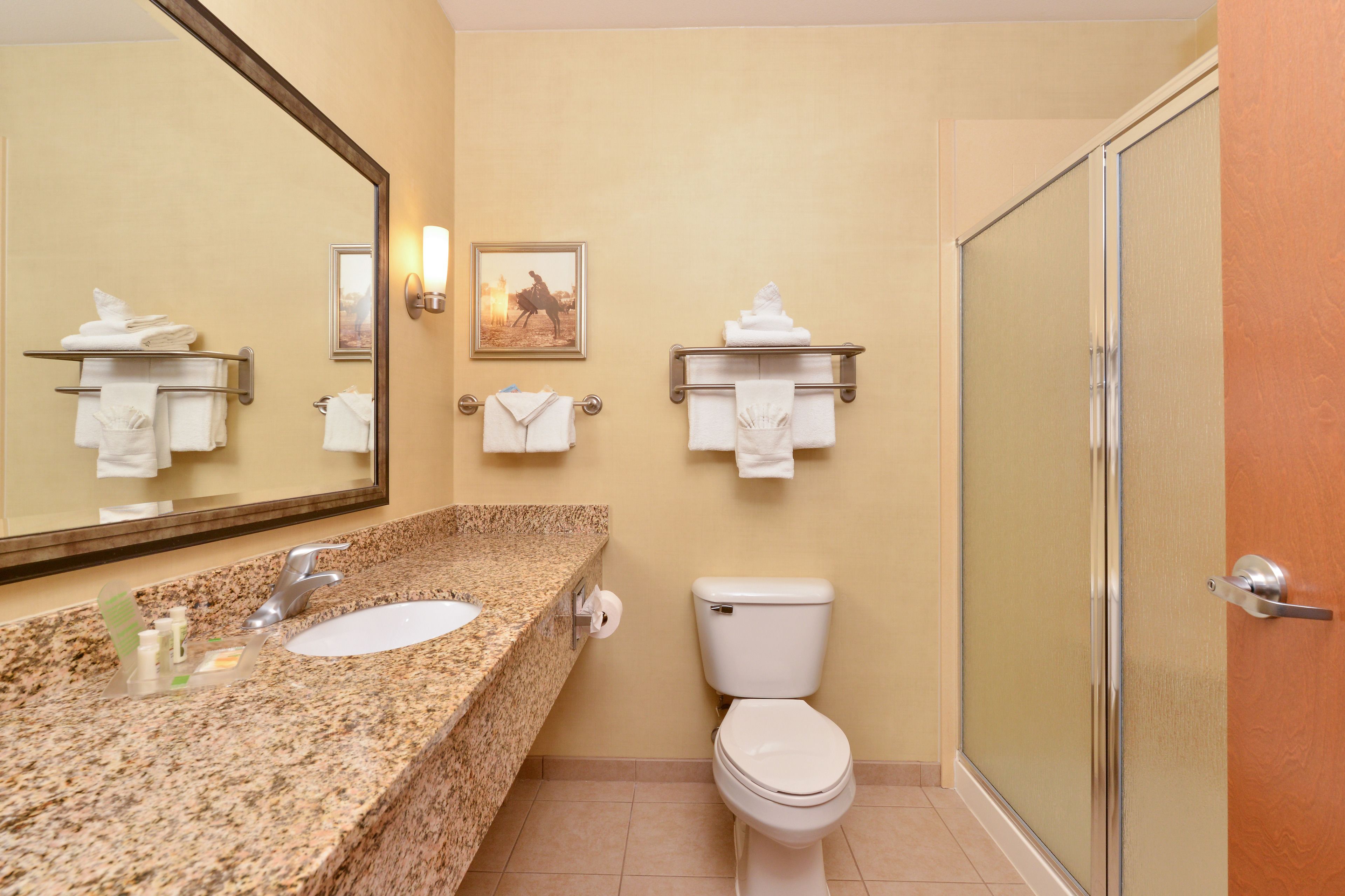 combined shower/bathtub, eco-friendly toiletries, hair dryer, towels