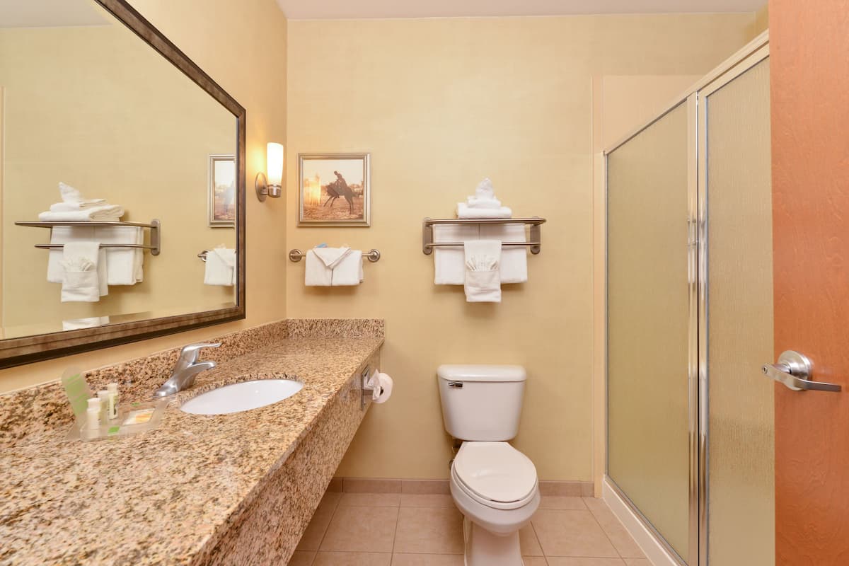 combined shower/bathtub, eco-friendly toiletries, hair dryer, towels