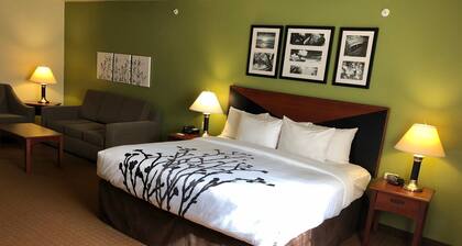Sleep Inn & Suites Shamrock