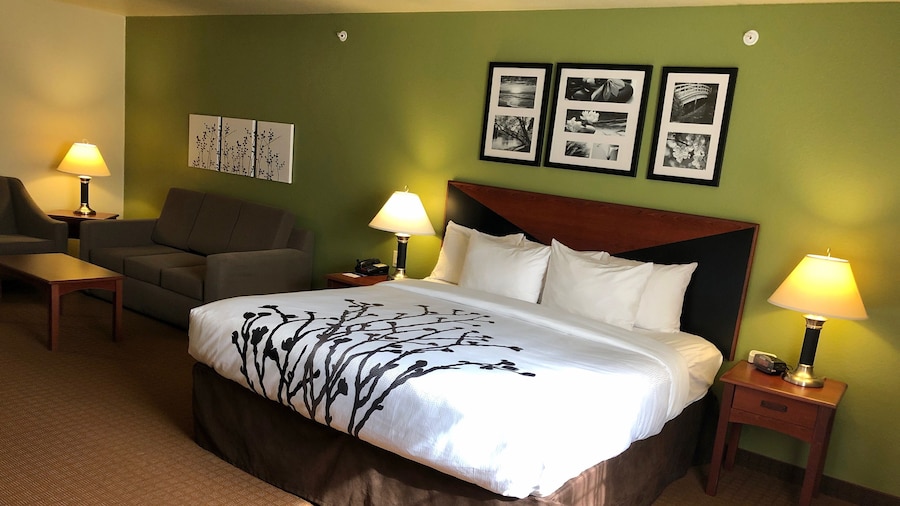 Sleep Inn & Suites Shamrock