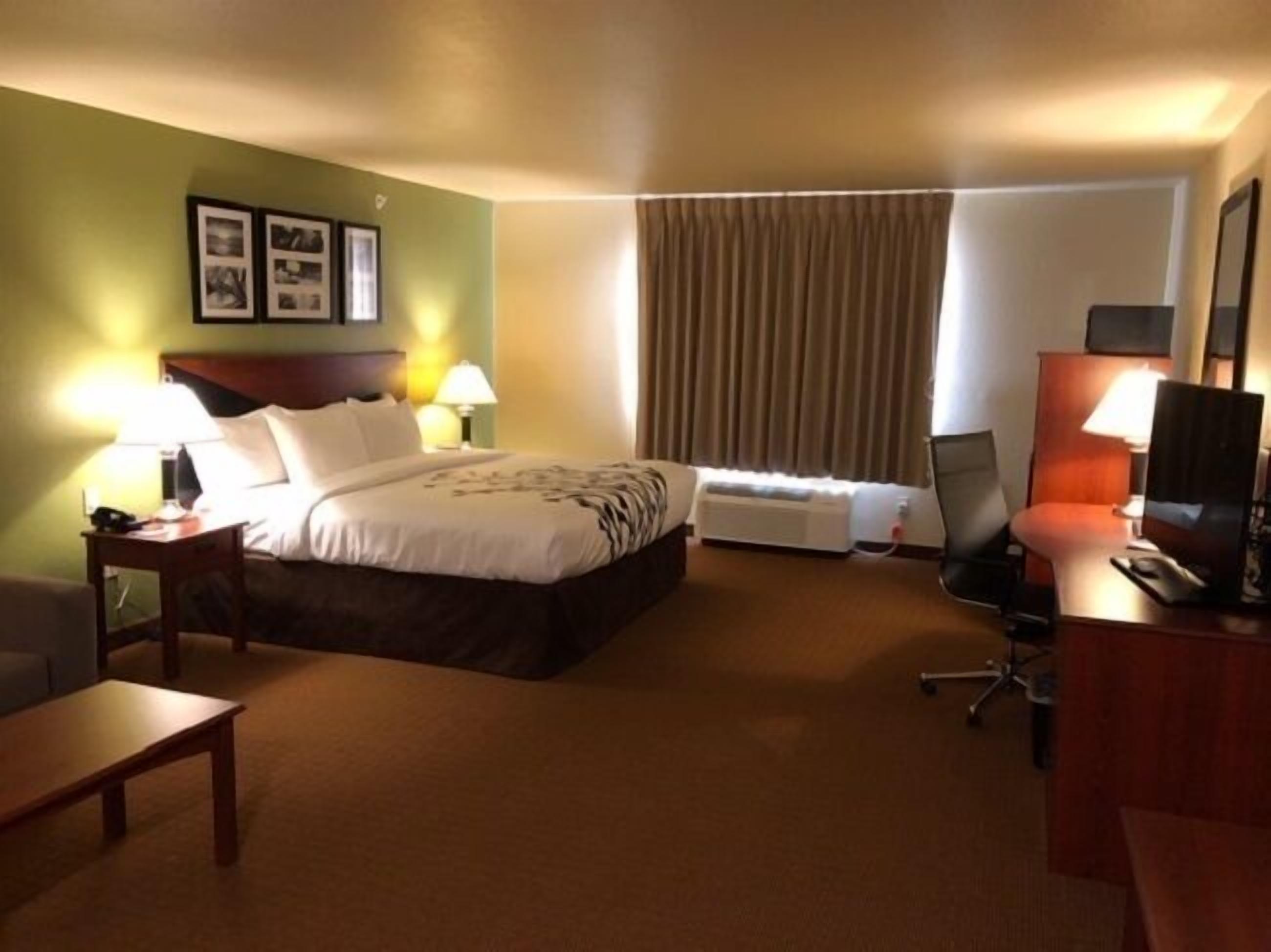 suite, non smoking | premium bedding, in-room safe, desk, blackout curtains