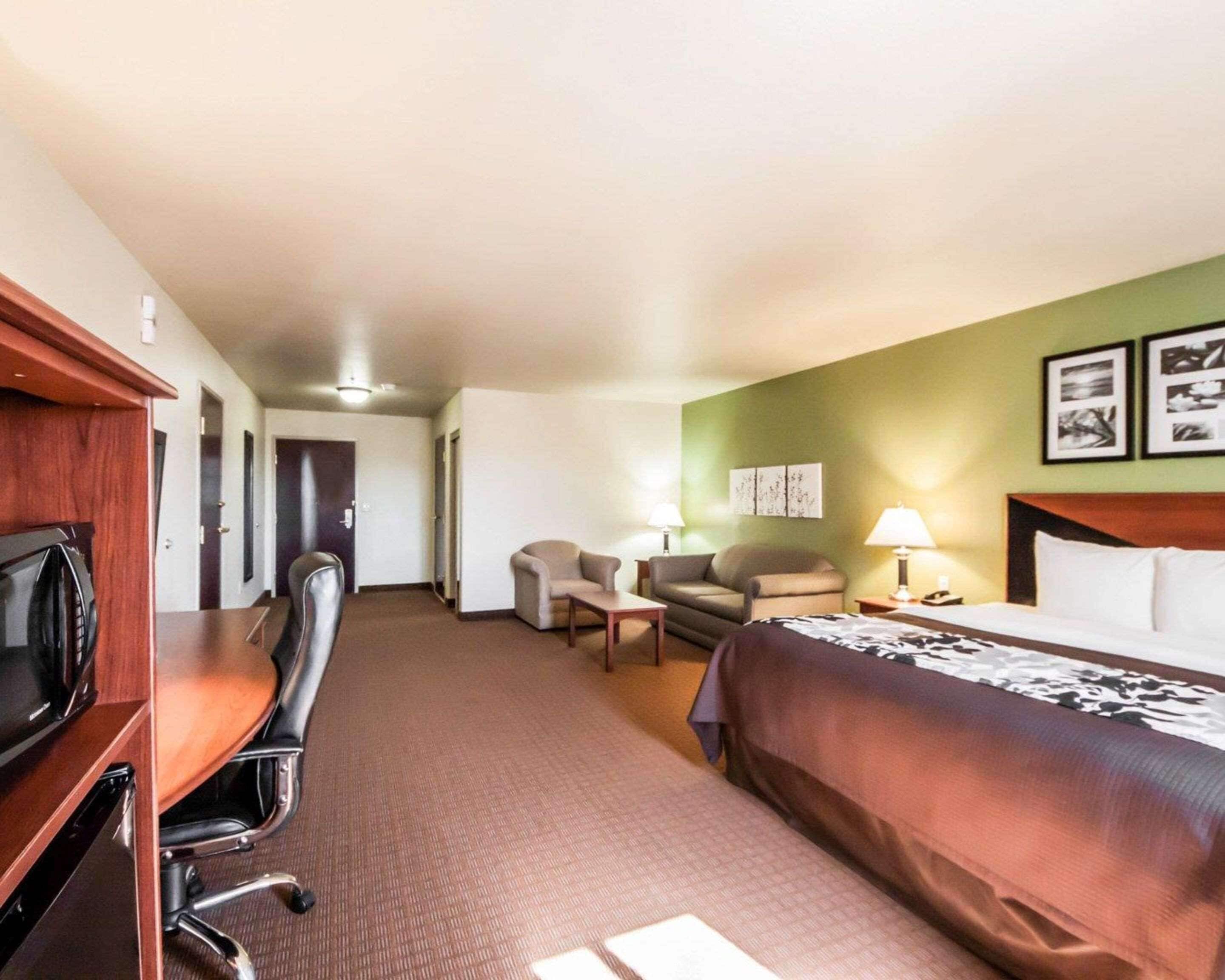 Une chambre d’hôtel comprenant un lit, un bureau avec une chaise, un canapé et un téléviseur.