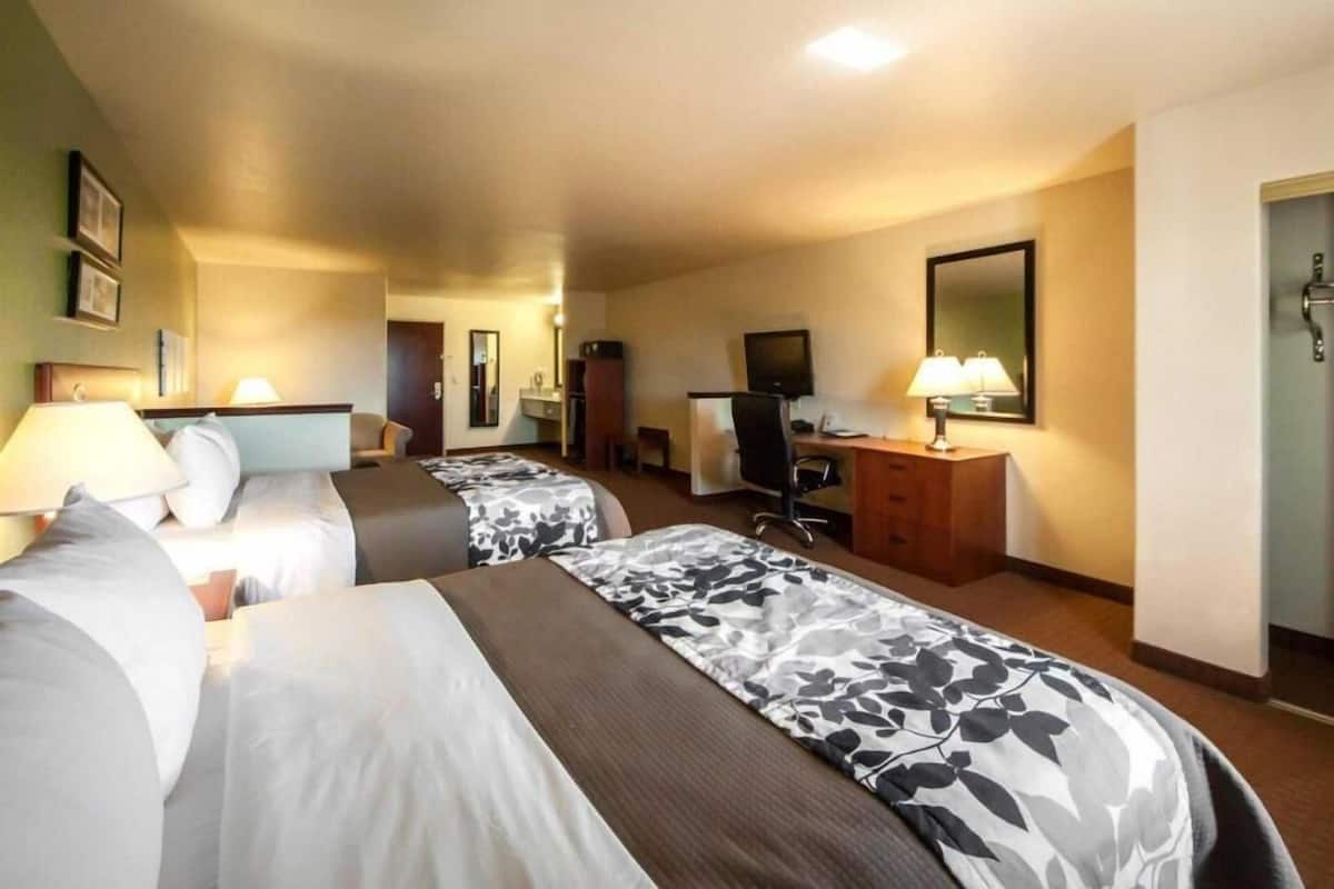 A hotel room with two beds, a desk, a chair, a television, and a mirror.