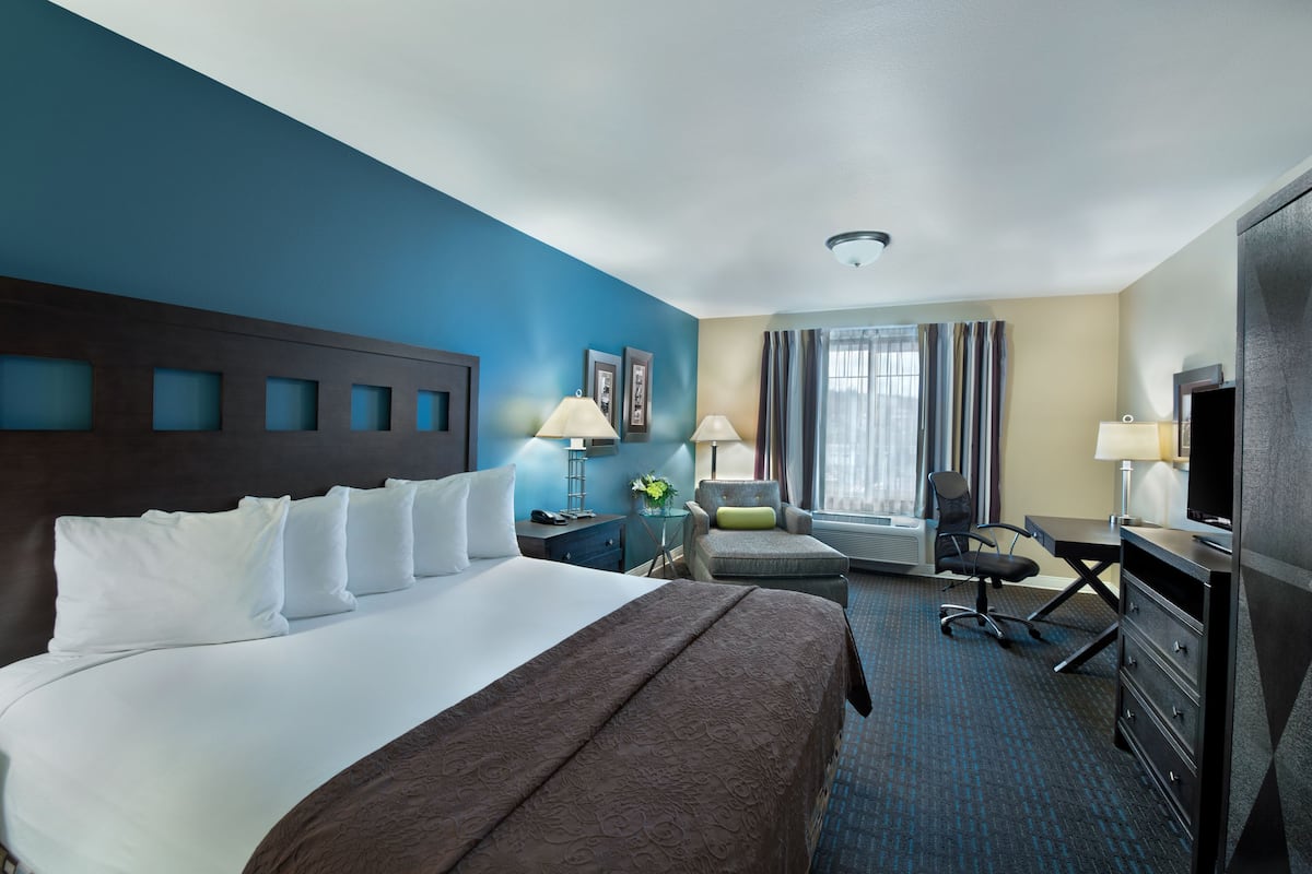 Habitación de hotel con una cama grande, un escritorio, una silla, un televisor y una ventana con cortinas.