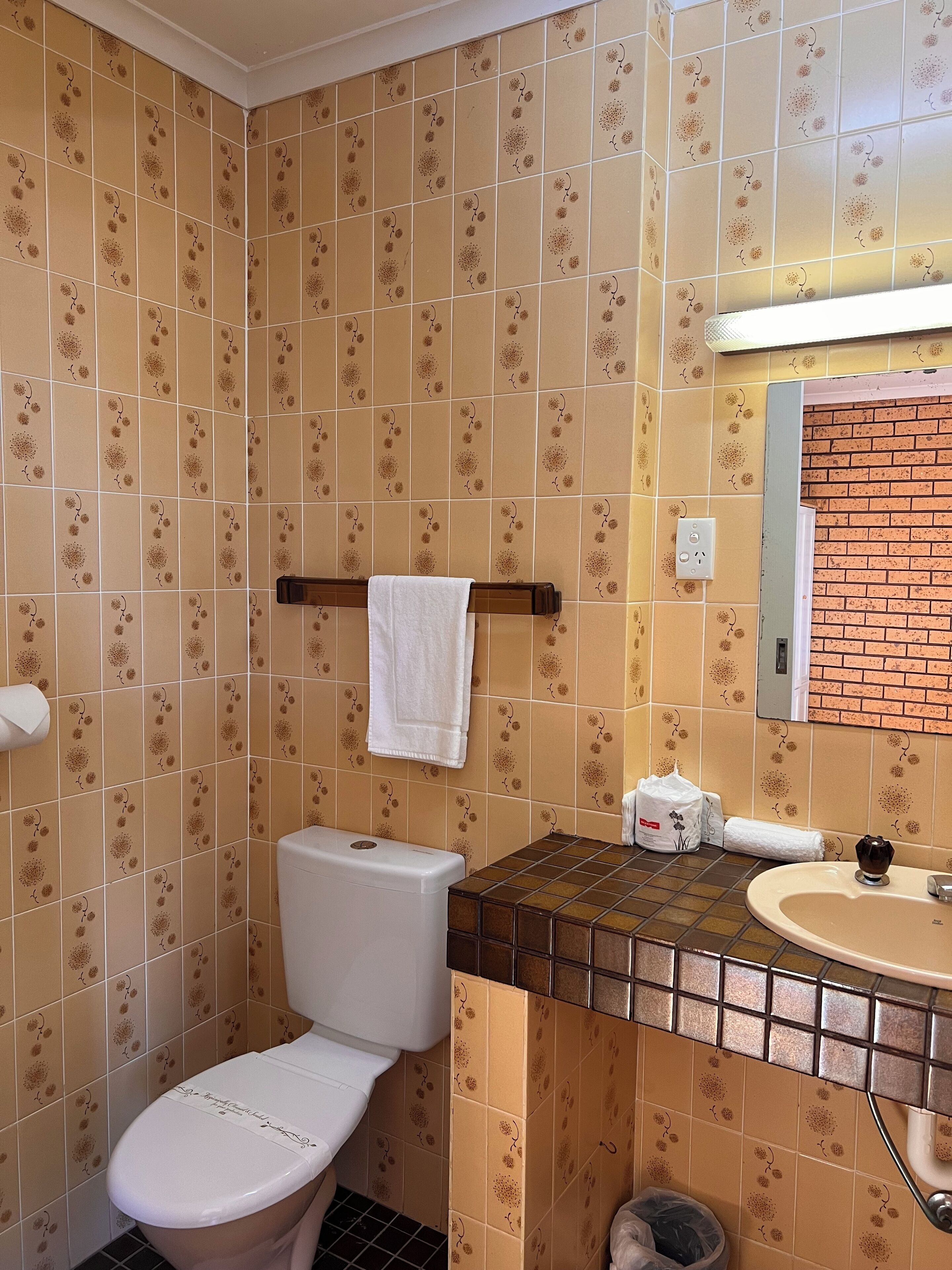 Une salle de bain avec des toilettes, un lavabo et un miroir.
