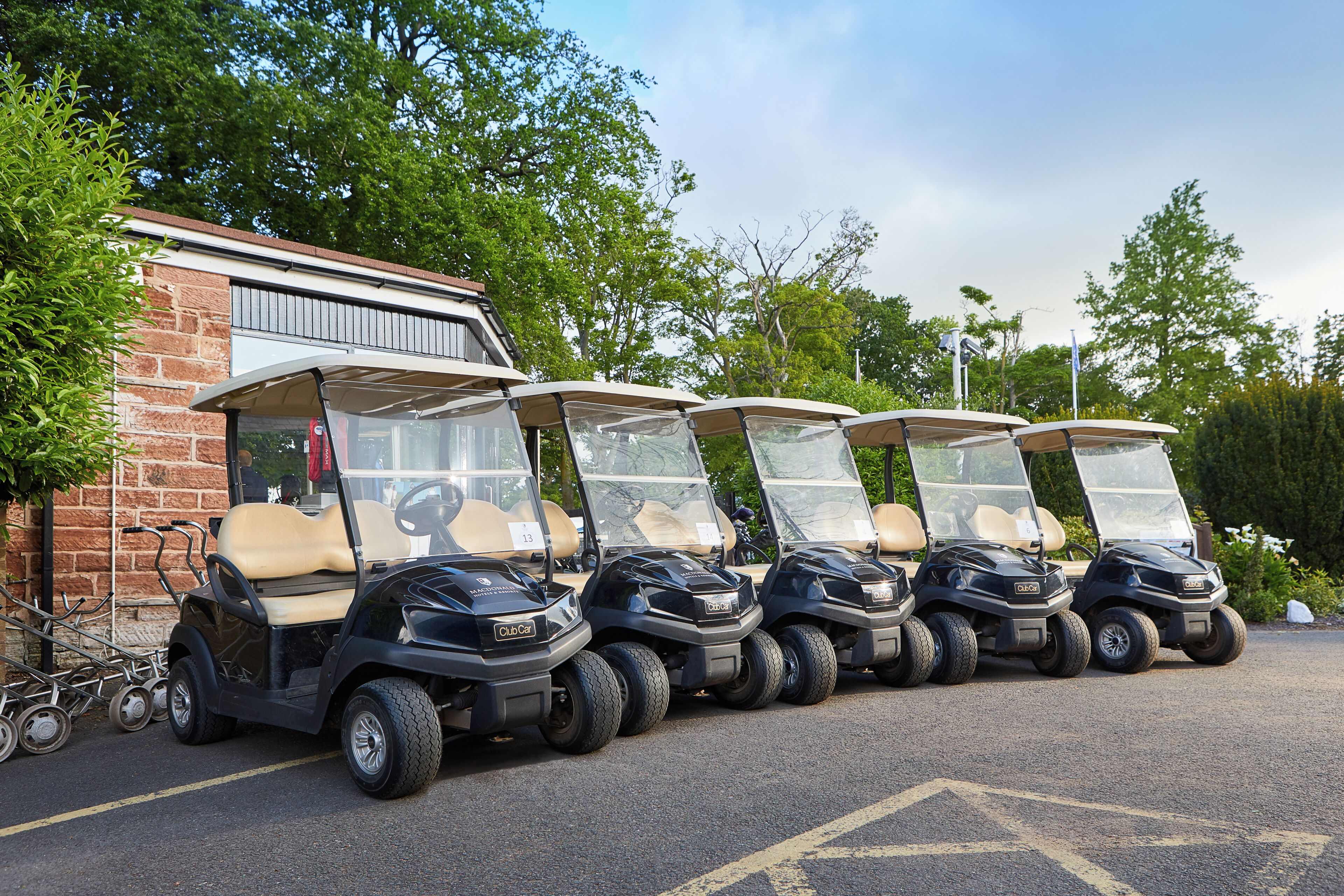 Carrito de golf