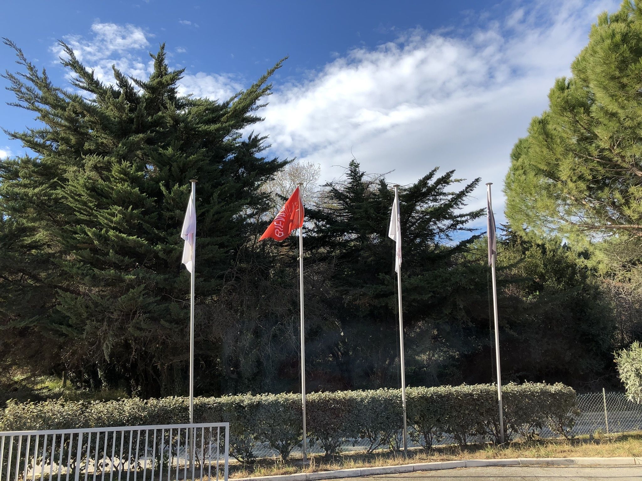 Un asta con banderas, rodeada de árboles y un seto.