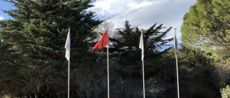 Un asta con banderas, rodeada de árboles y un seto.
