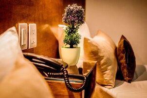 Habitación de hotel con una mesita de noche que incluye un teléfono, un florero con una planta en maceta y un enchufe.
