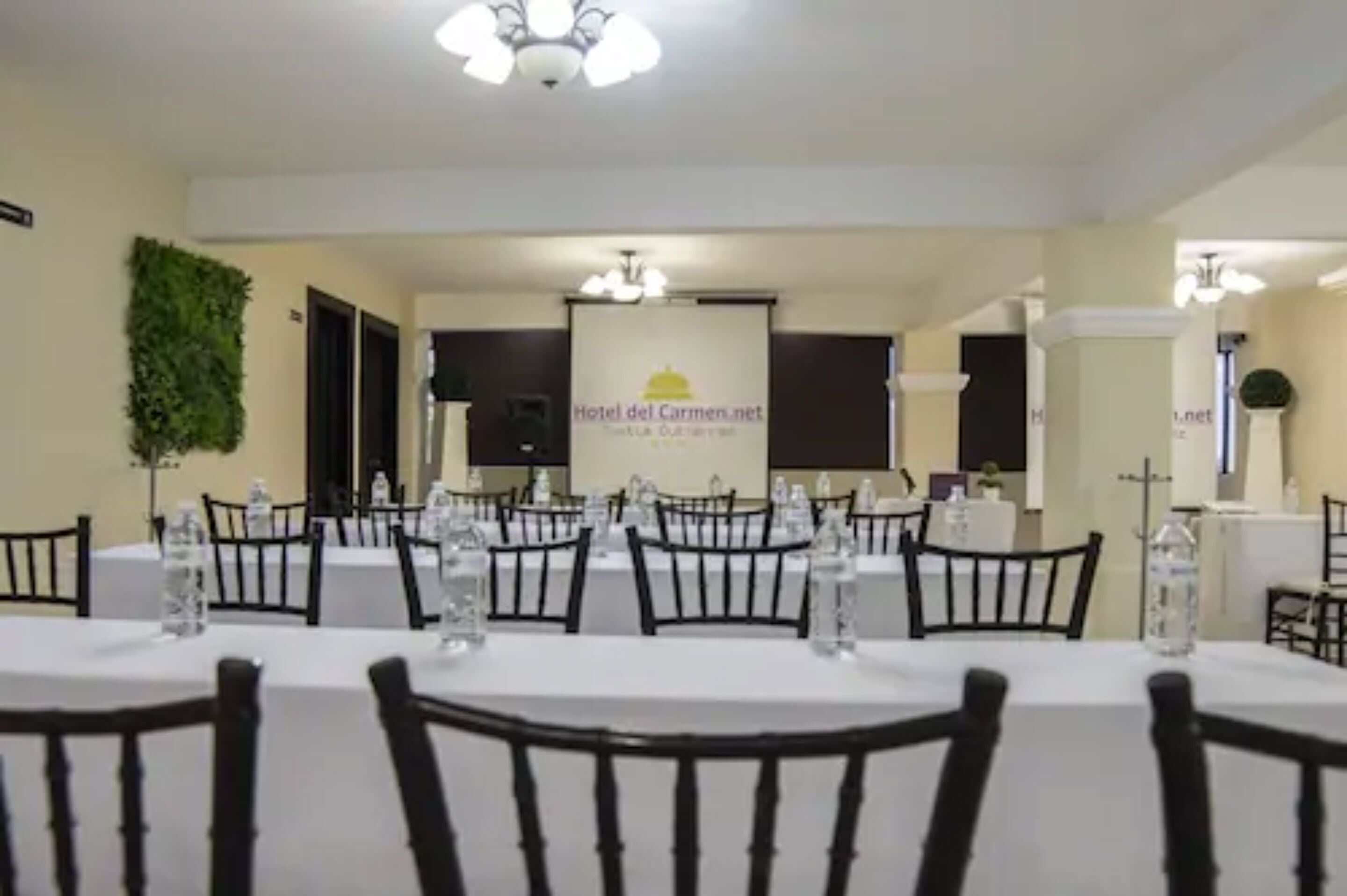A conference room with multiple tables and chairs, a projector screen displaying 'Hotel del Carmen.net', and a decorative plant on the wall.