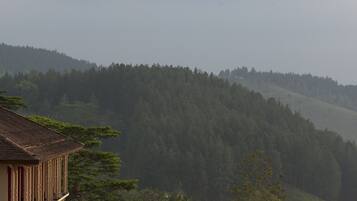 Un edificio con techo inclinado, rodeado de un bosque frondoso.