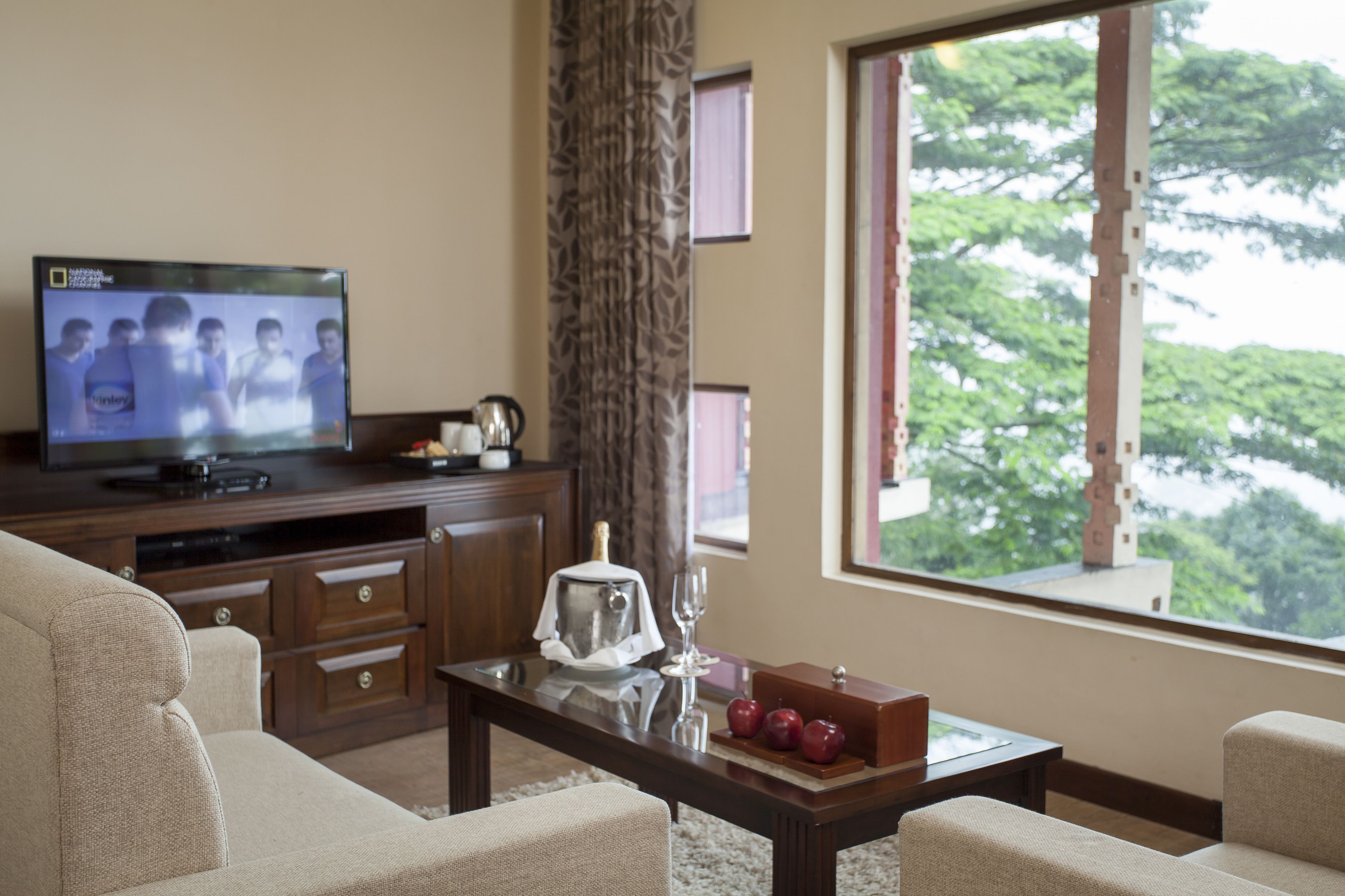 A living room with a television, a wooden coffee table, and a view of trees through a window.