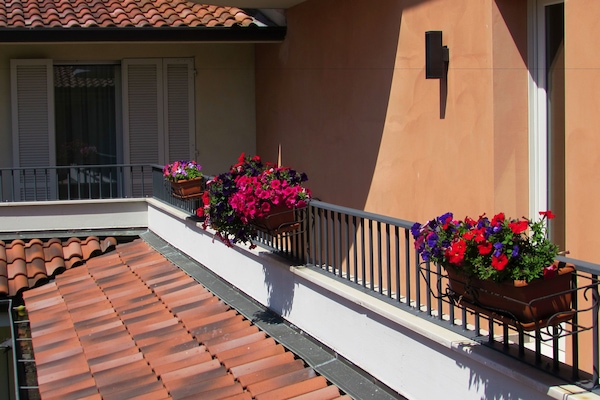 Detalle exterior