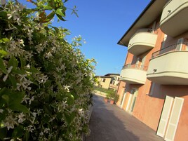 Detalle del exterior