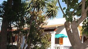 Exterior - Villa Tina (Forio)