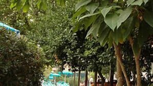 Property grounds - Villa Tina (Forio)