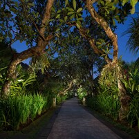 Pool Villa | Garden