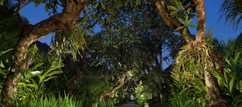 Sun Island Boutique Villas & Spa Seminyak