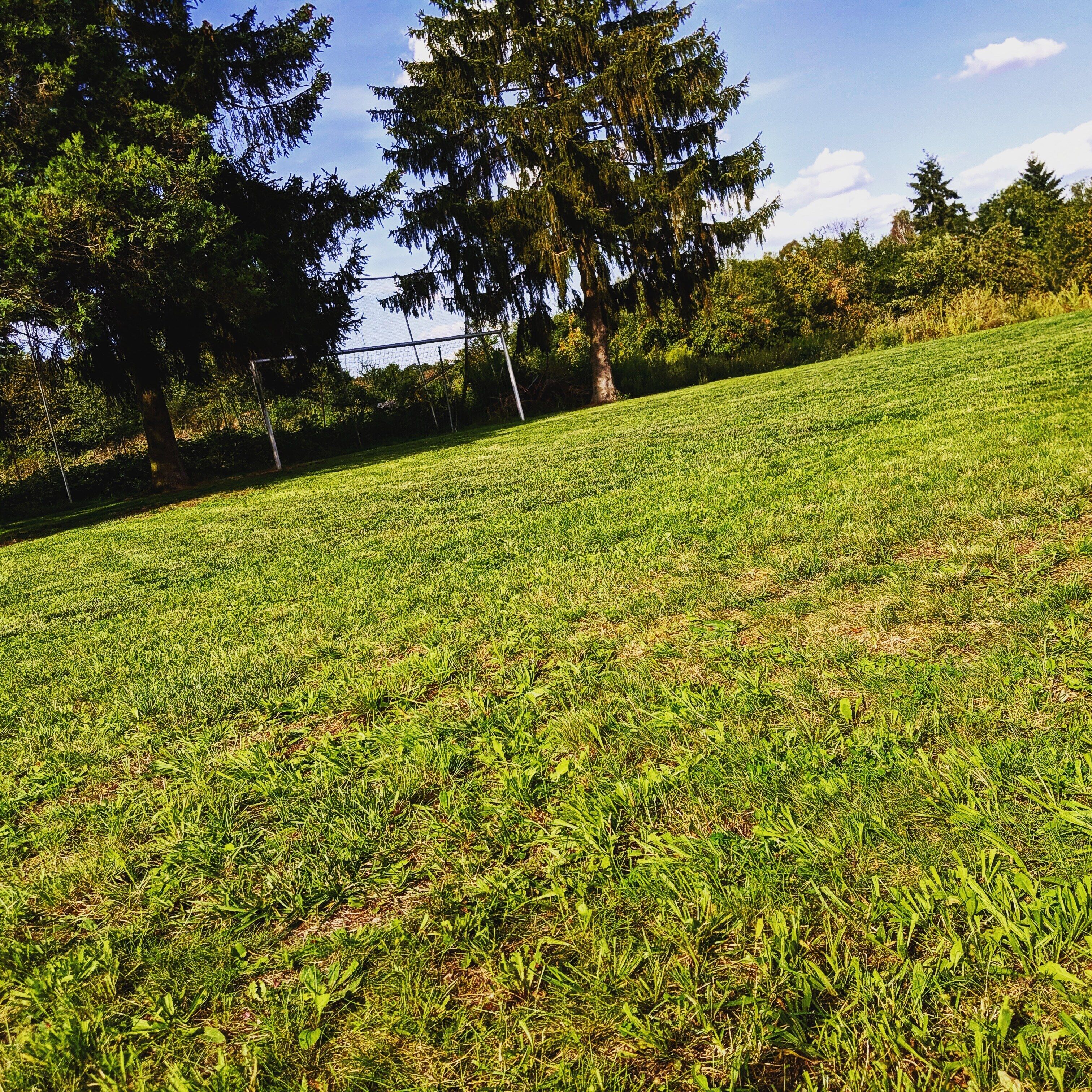 Foto - Hotel Odenwaldblick