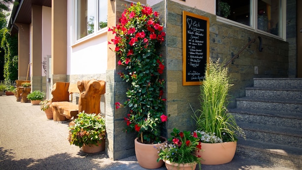A building entrance with a stone wall, potted plants, and a chalkboard sign. - Hotel Odenwaldblick (Roedermark)