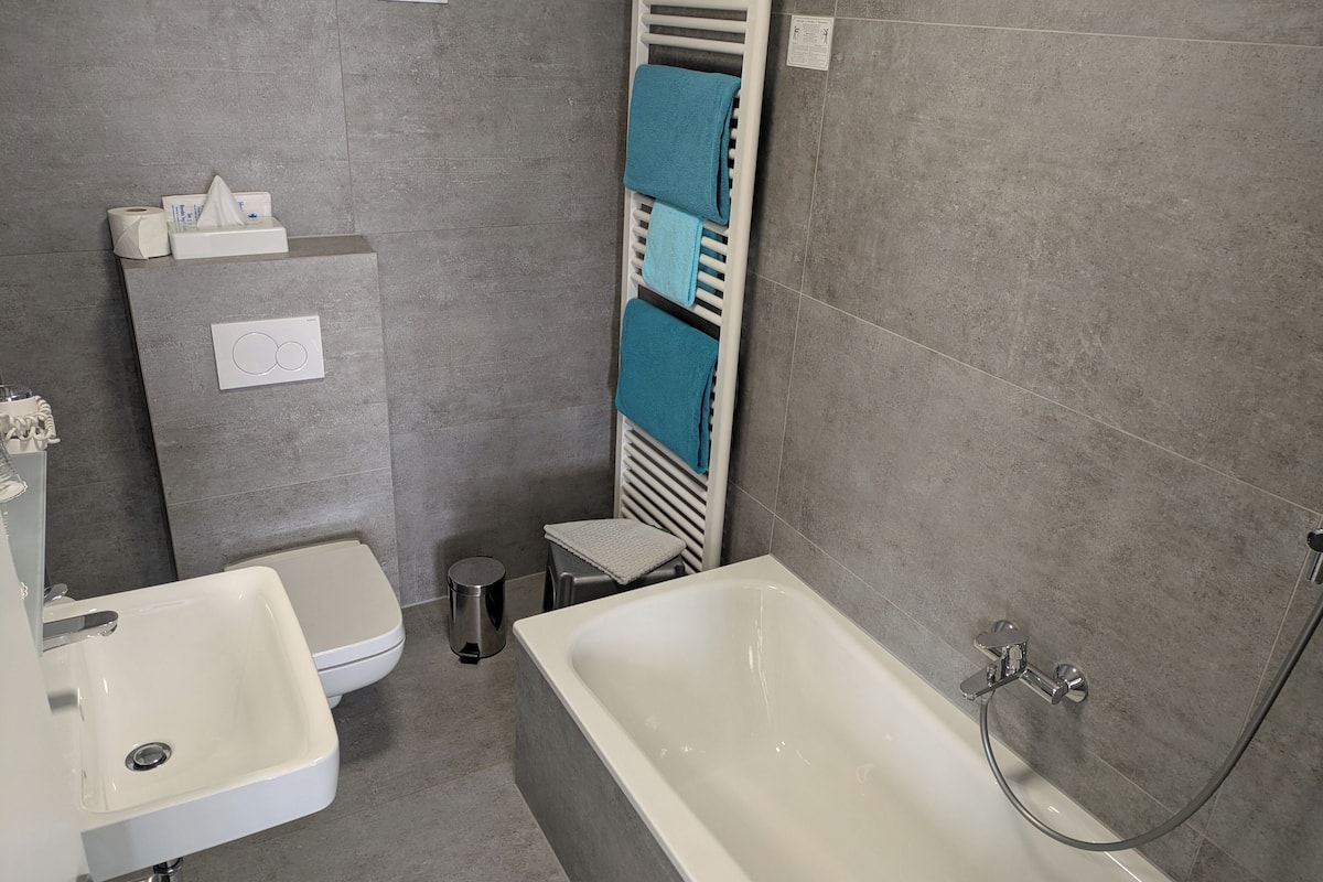 standard double room (with air conditioning) | premium bedding, pillow-top beds, minibar, desk