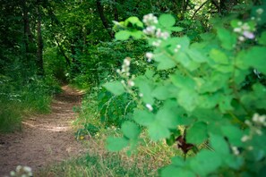 Wandern