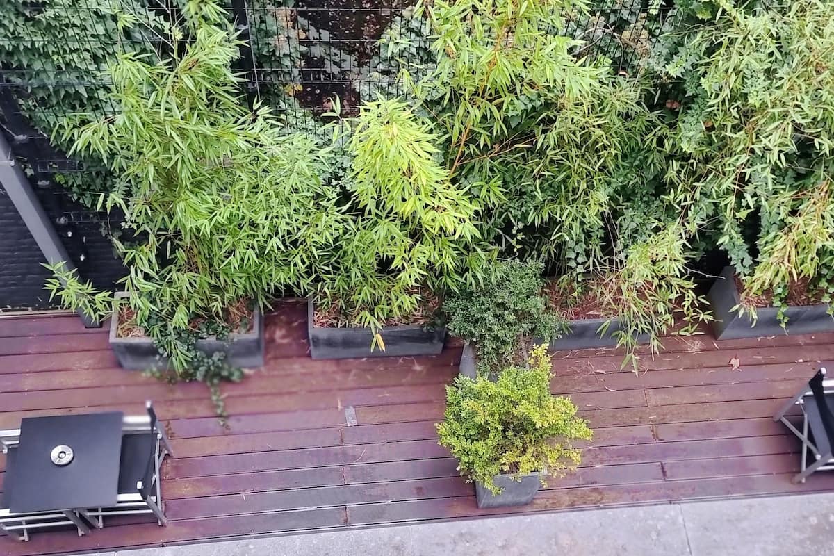 An outdoor seating area with tables and chairs, surrounded by lush greenery and a wooden deck.