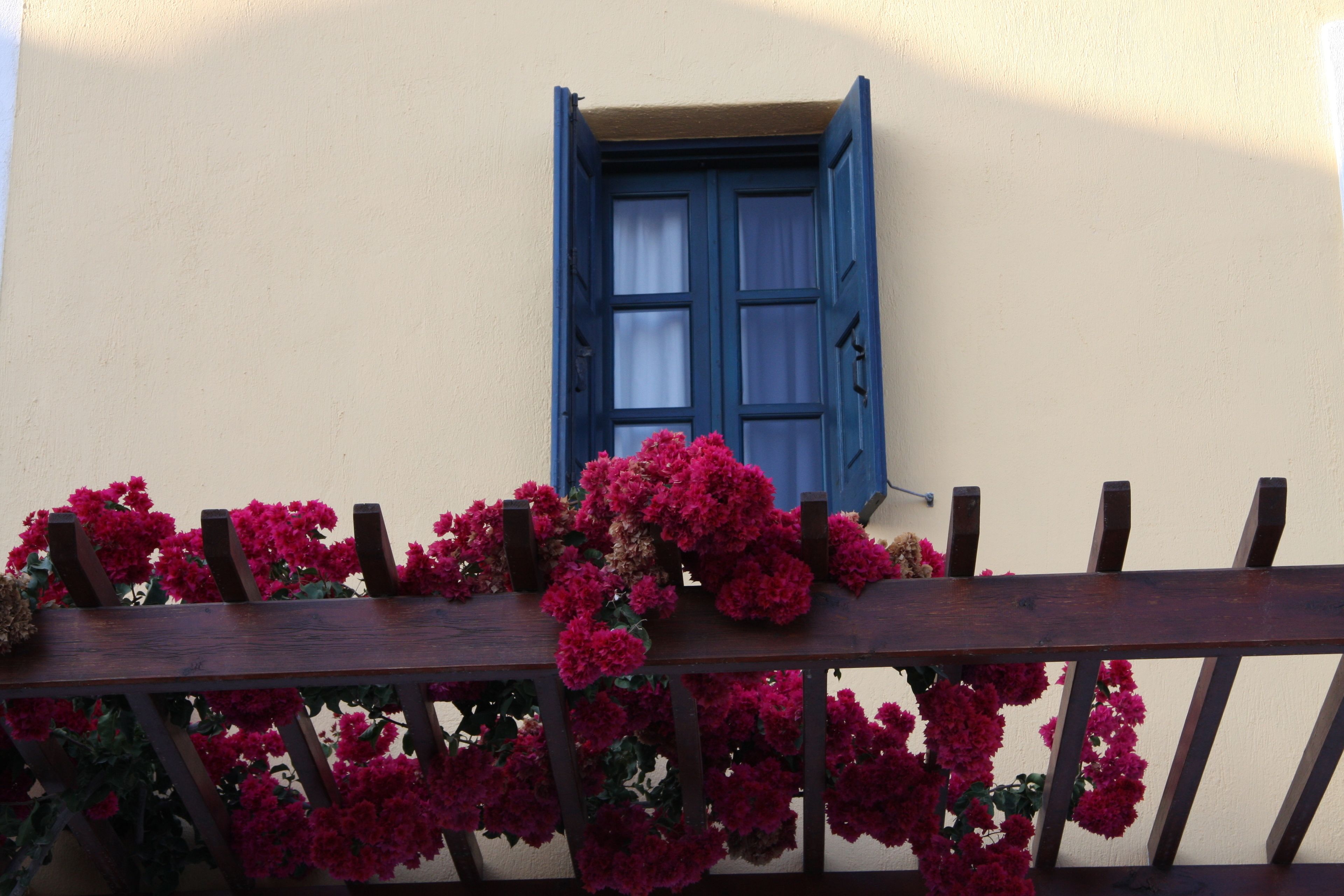 Una ventana con contraventanas azules y una celosía de madera con flores rosadas.