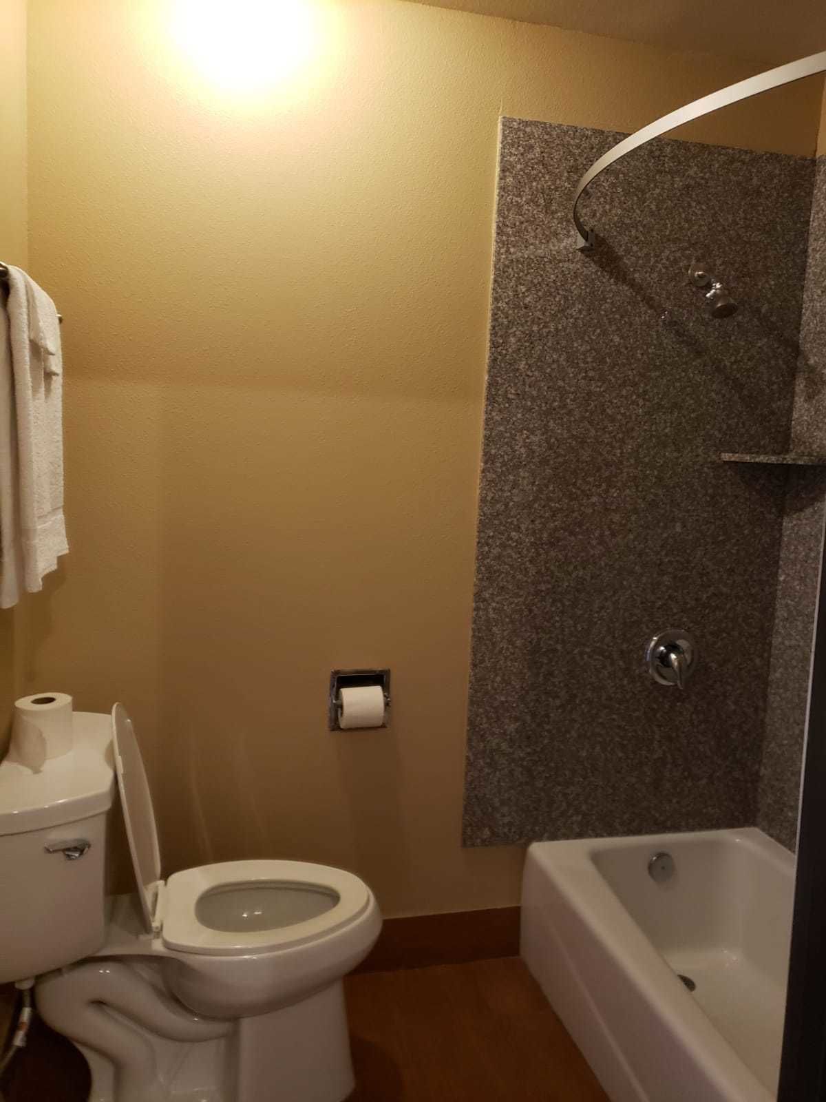 A bathroom with a toilet, a roll of toilet paper, a shower area with a curved showerhead, and a bathtub.