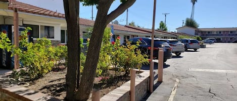 Estacionamento grátis sem manobrista