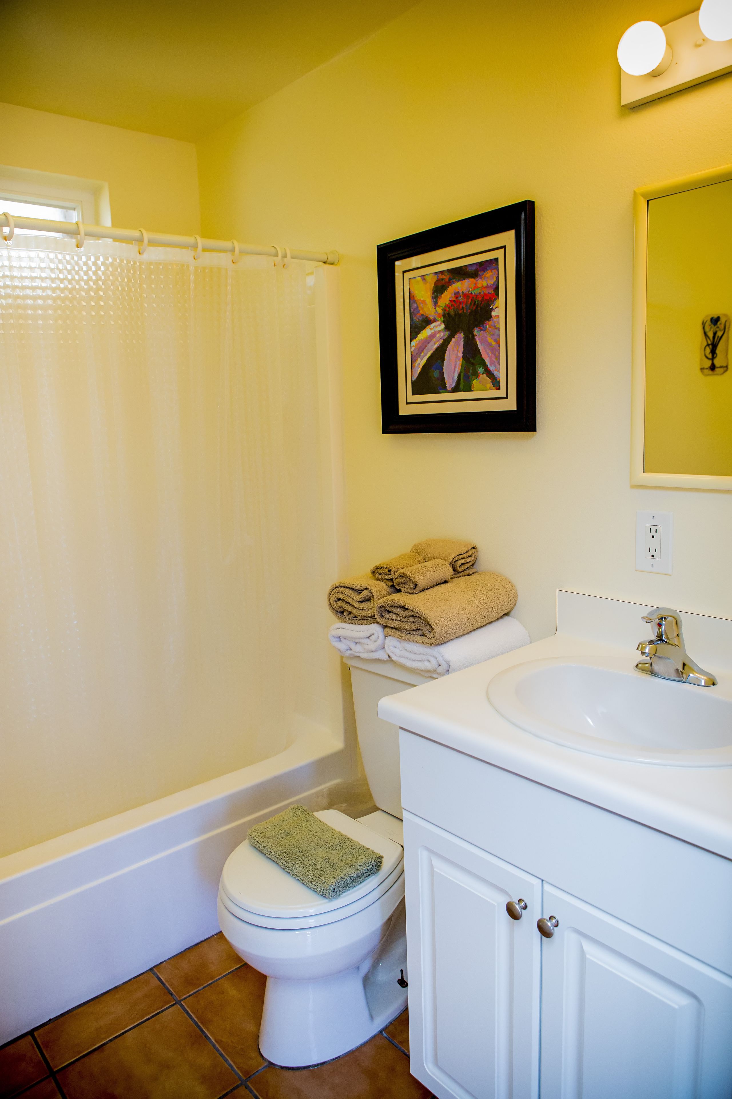 combined shower/bathtub, free toiletries, hair dryer, towels