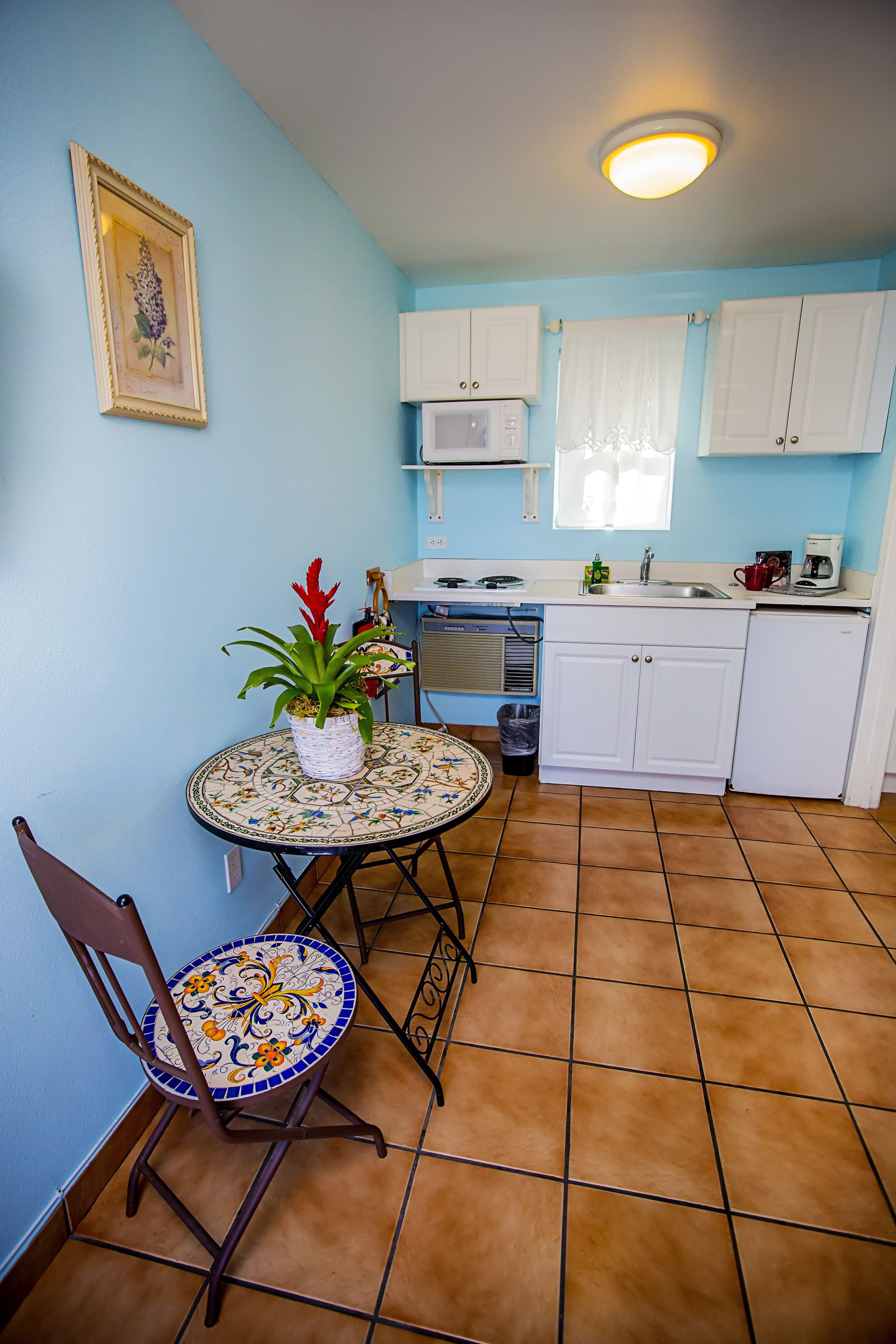 standard room, 1 queen bed, kitchenette | private kitchenette | fridge, microwave, stovetop, coffee/tea maker