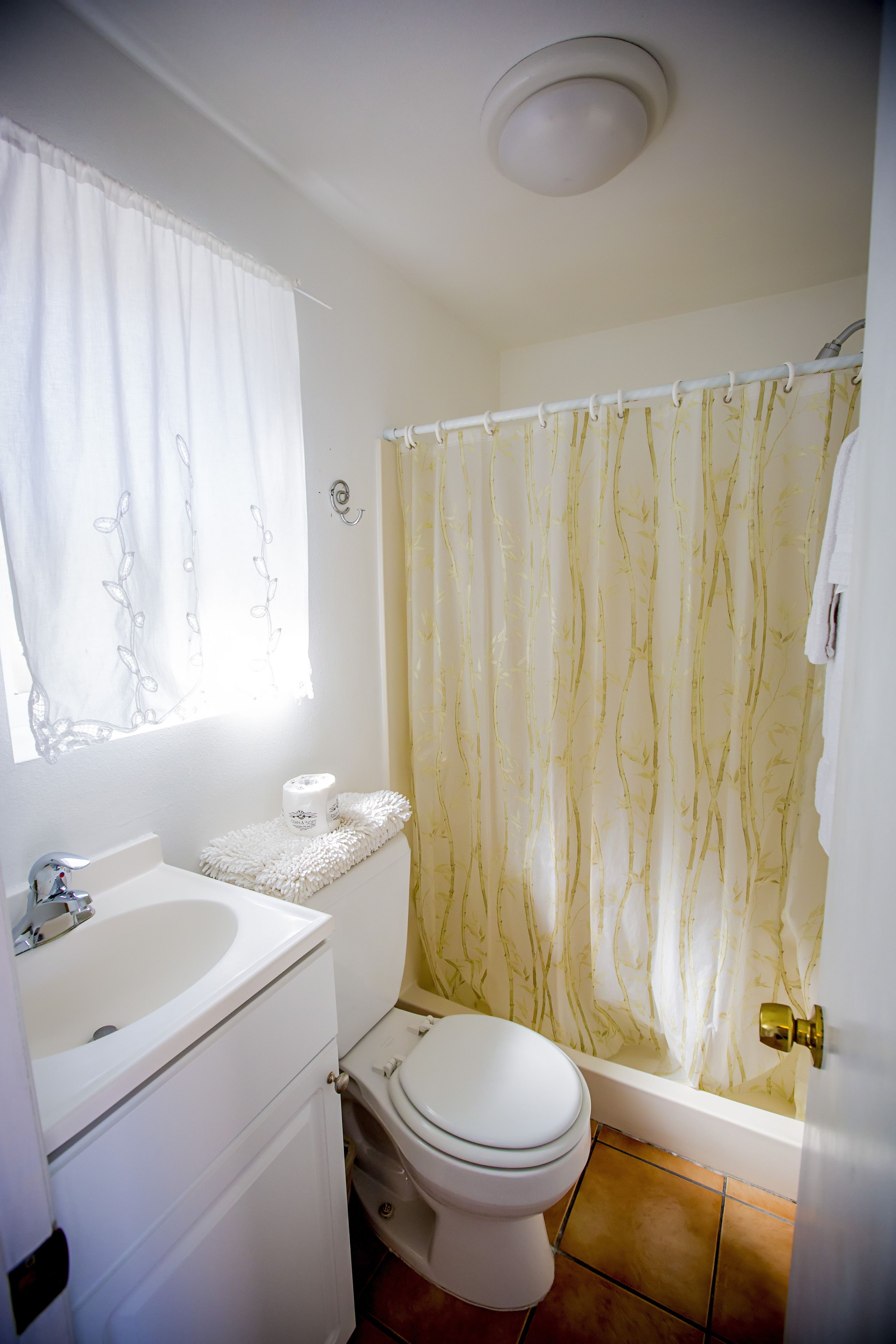 combined shower/bathtub, free toiletries, hair dryer, towels