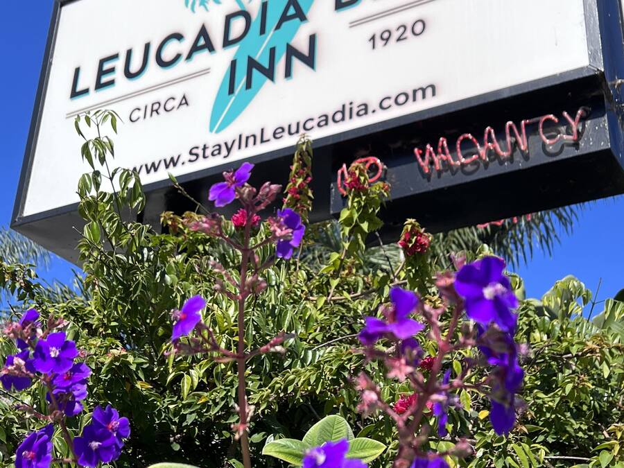 Schild des Leucadia Inn mit Palmen-Logo, dem Jahr 1920 und einer Website-URL.