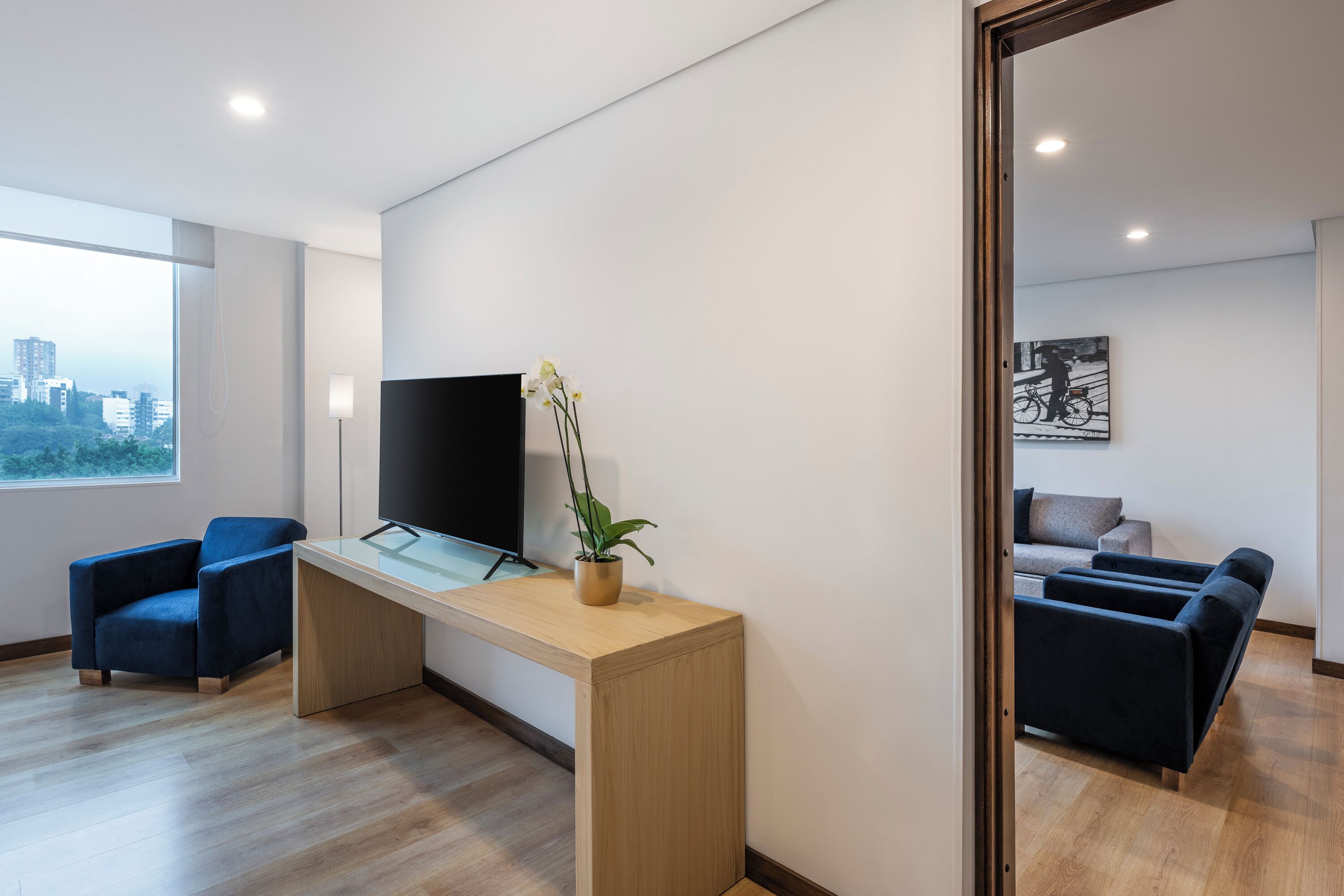 junior suite | television