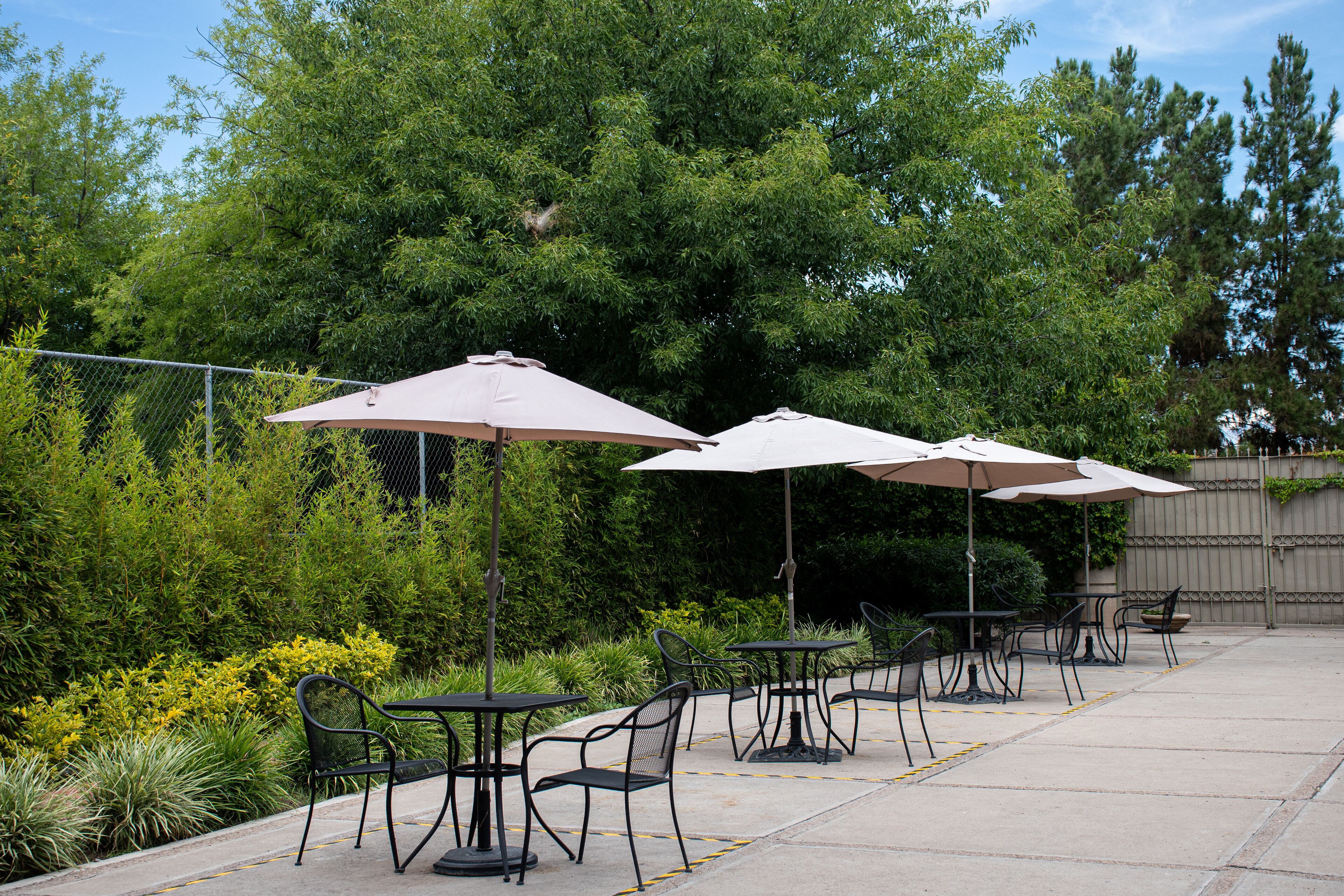 Outdoor patio seating with tables and chairs, surrounded by greenery and trees.
