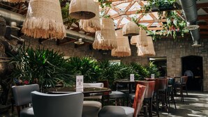 An indoor dining area with round tables and chairs, hanging wicker lamps, and lush green plants. - Victoria Express Durango (Durango)