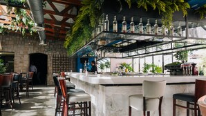 A bar area with a marble countertop, multiple bar stools, and shelves with bottles. - Victoria Express Durango (Durango)