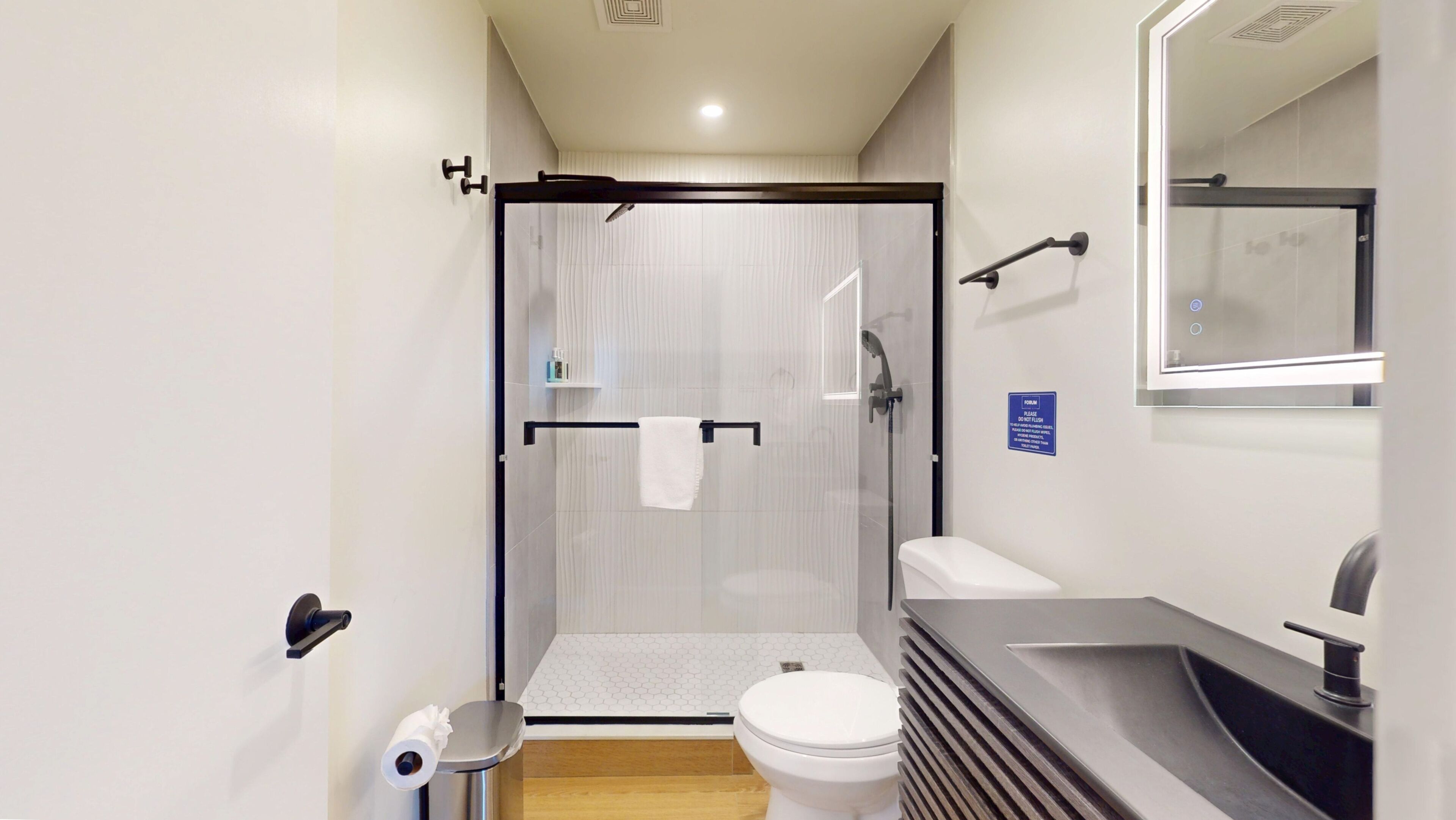 A modern bathroom with a shower, toilet, sink, and mirror.