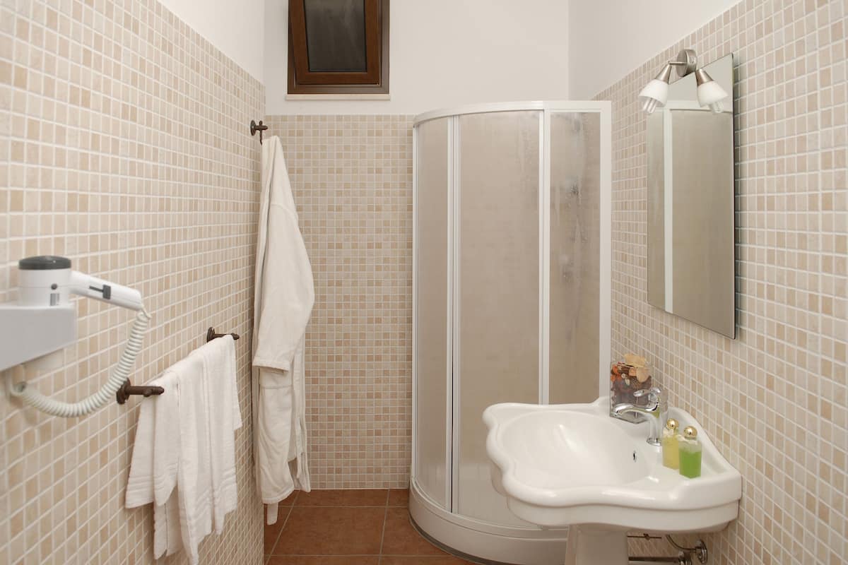 shower, free toiletries, hair dryer, bidet