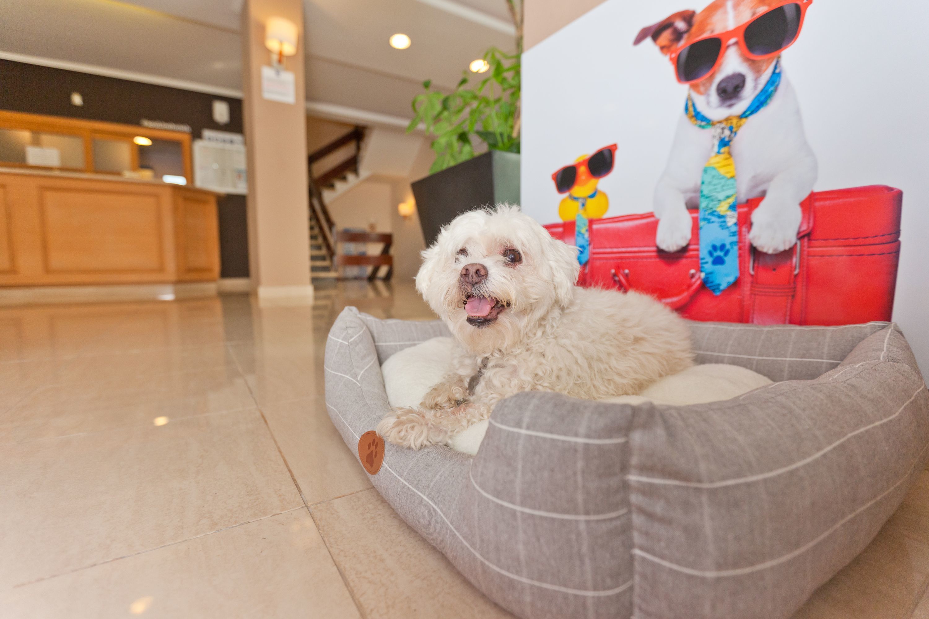 Foto - azuLine Hotel Mediterráneo